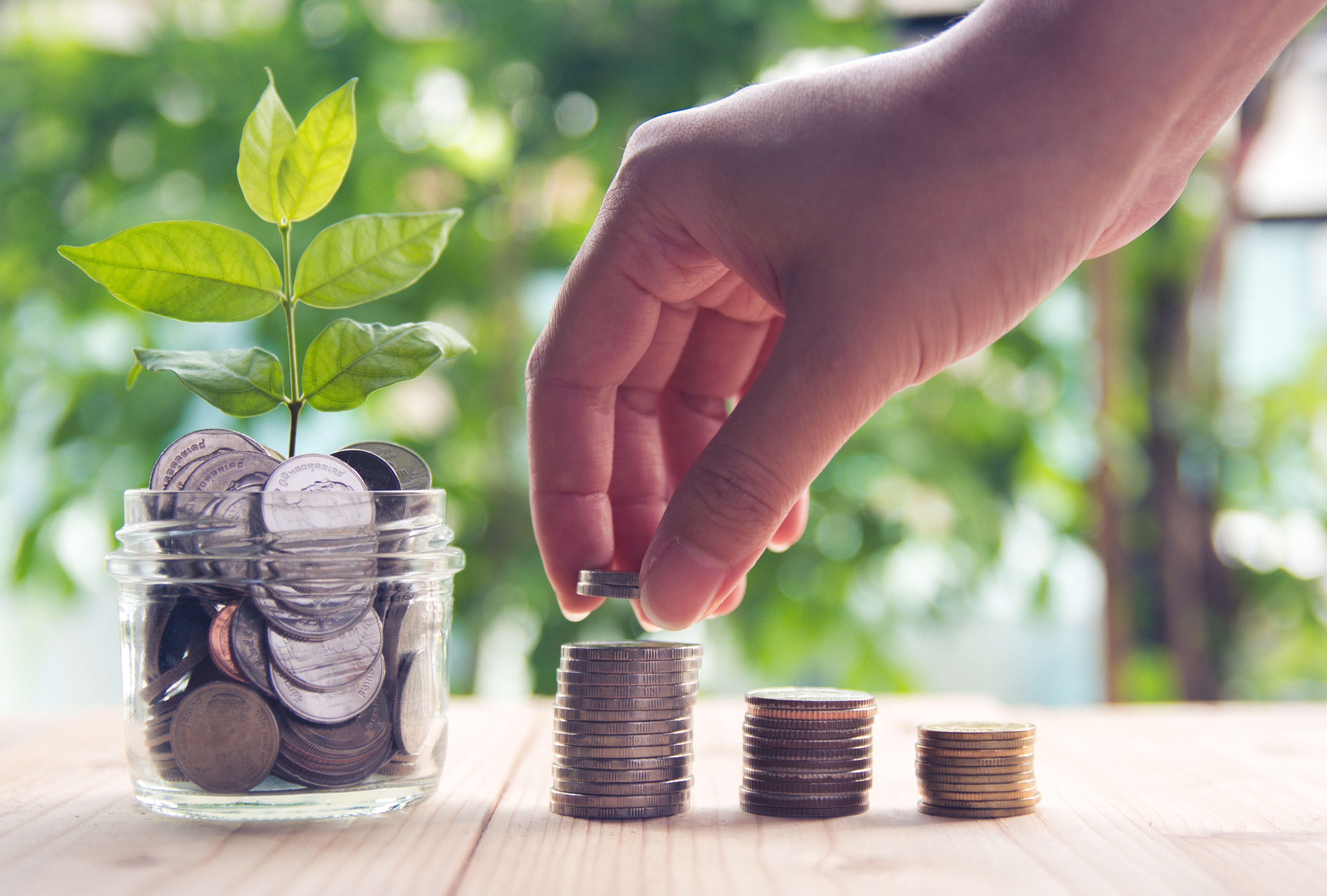 How Much Should You Invest in SIP Monthly?